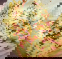 Massive Wieners - Restaurants Sydney