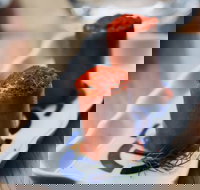 MoVida  The Airport - Mascot - Restaurants Sydney