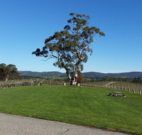 Nepenthe Wines - Restaurants Sydney