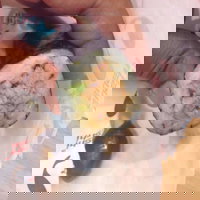 Torquay Takeaway and Torquay Restaurants Sydney Restaurants Sydney