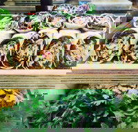 Salud Expresso Bar - Restaurants Sydney