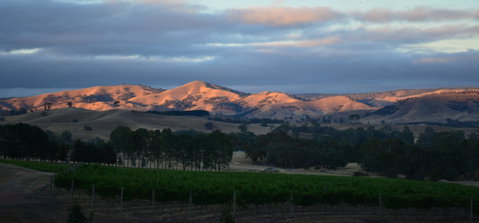Sedona Estate - Restaurants Sydney 0