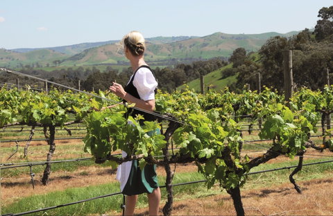 Sedona Estate - Restaurants Sydney 1