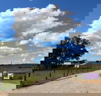 Short Sheep Micro-Winery - Restaurants Sydney