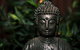 Szeto Asian Kitchen - thumb 0