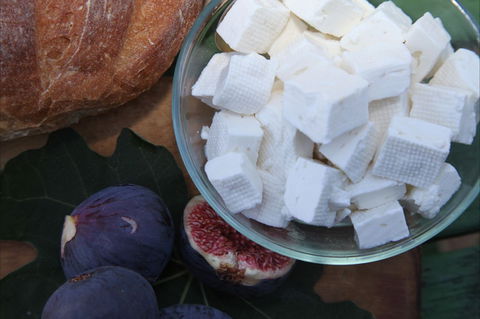 The Cheese Maker - Restaurants Sydney 1