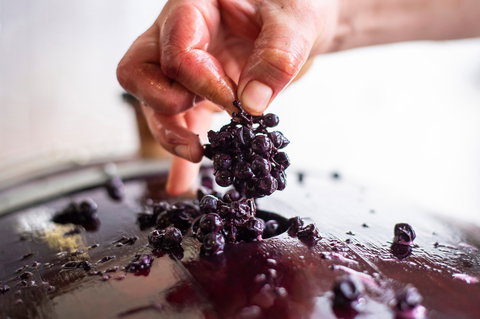 Yelland And Papps - Restaurants Sydney 2