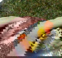 Yuri Sushi - Restaurants Sydney