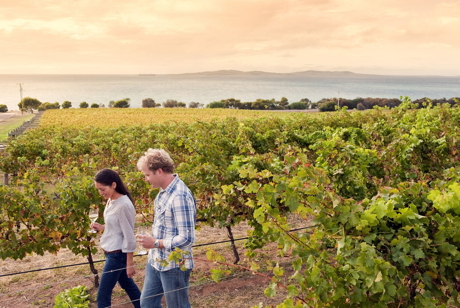 Lincoln National Park SA Restaurants Sydney