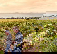 Boston Bay Wines - Restaurants Sydney