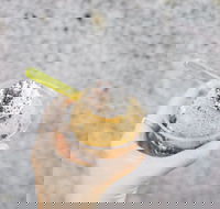 Spice Cottage - Restaurants Sydney