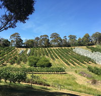 Cherrytime Orchard - Restaurants Sydney