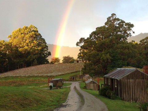 Hartzview Vineyard - Restaurants Sydney 0