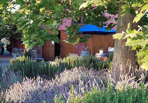 Macquariedale Organic Wines - Restaurants Sydney 0