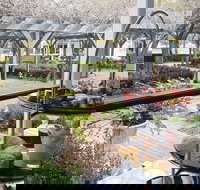 Restaurant Eighty Eight - Restaurants Sydney