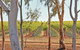 Trentham Estate Winery - thumb 1