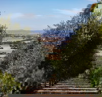 Wollundry Grove Olives - Restaurants Sydney