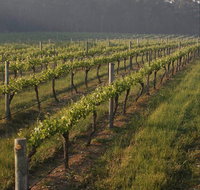 Cape Grace Wines - Restaurants Sydney