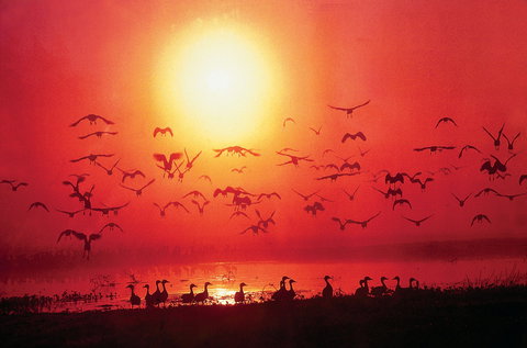 Good Thanks - Restaurants Sydney 0