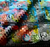 Sushi Sushi - Helensvale - Restaurants Sydney