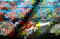 Sushi Sushi - Helensvale