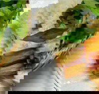 Thanh Binh - Cabramatta - Restaurants Sydney