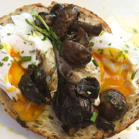 The Laneway Espresso - Restaurants Sydney 0