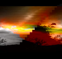 Zephyr - Restaurants Sydney