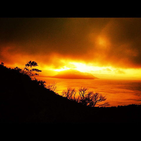 Zephyr - Restaurants Sydney 0