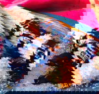 Donut King - Chirnside Park - Restaurants Sydney