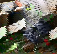 Hill of Promise Winery and Cellar Door - Restaurants Sydney