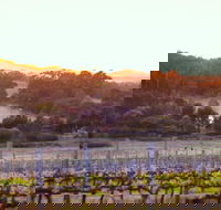 Howling Wolves Wines - Restaurants Sydney