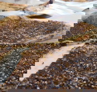 Yum Yum Bakery - Restaurants Sydney