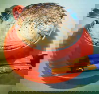 Arthur Radley - Restaurants Sydney