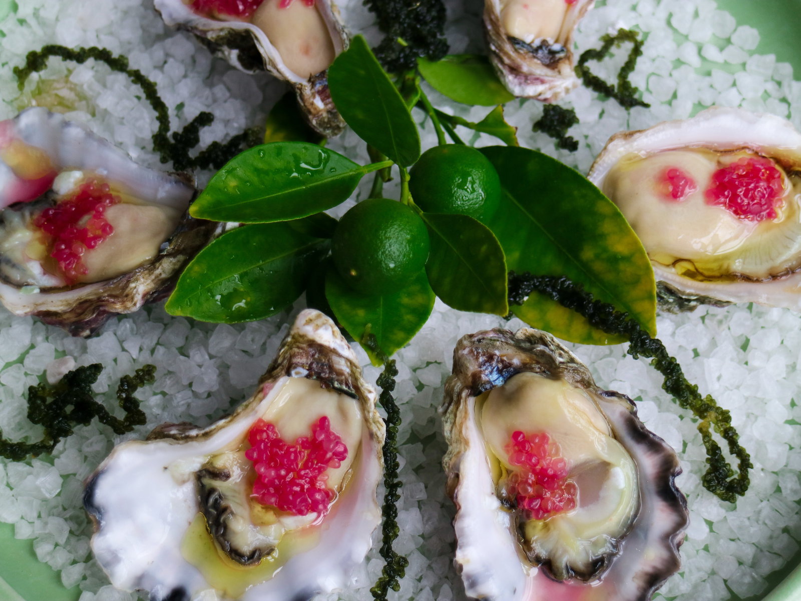 Gerringong NSW Restaurants Sydney