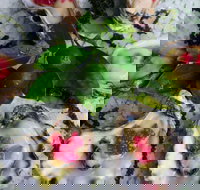 Bella Char Restaurant  Wine Bar - Restaurants Sydney