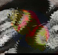 Crowded House - Restaurants Sydney