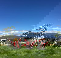 Red Feet Wines - Restaurants Sydney