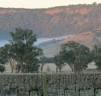 Wilksch Estate Wines - Restaurants Sydney
