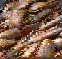 Pacific Eats - Restaurants Sydney