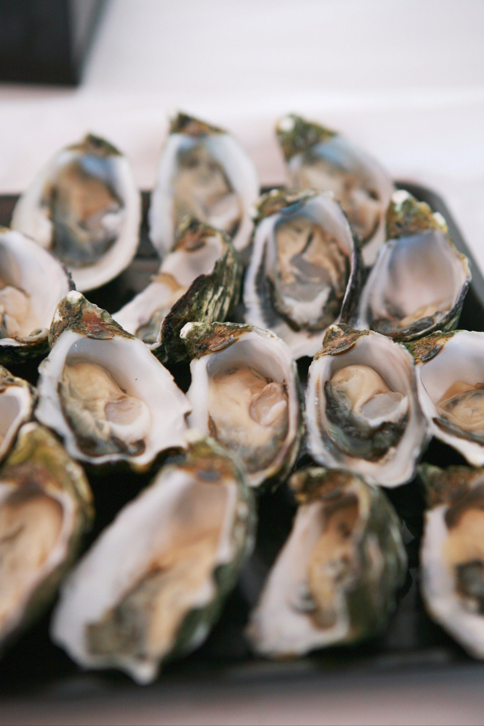 Risdon Park SA Restaurants Sydney