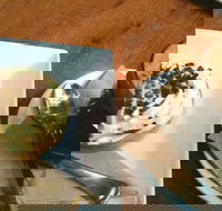 Appleseed cafe - Restaurants Sydney