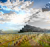 Fallen Giants Vineyard - Restaurants Sydney