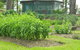 Hillview Herb Farm - thumb 2