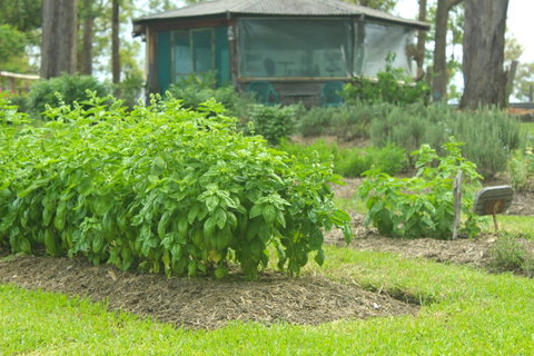 Hillview Herb Farm - Restaurants Sydney 2