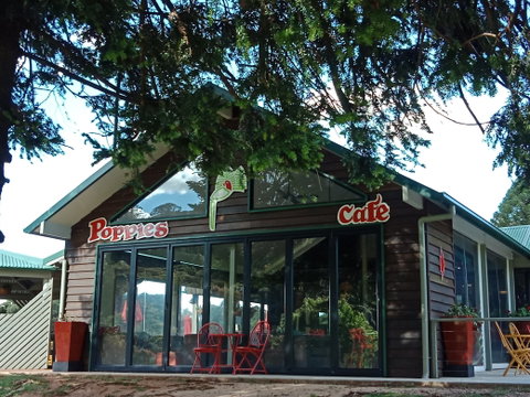 Poppies  Cafe - Restaurants Sydney 0