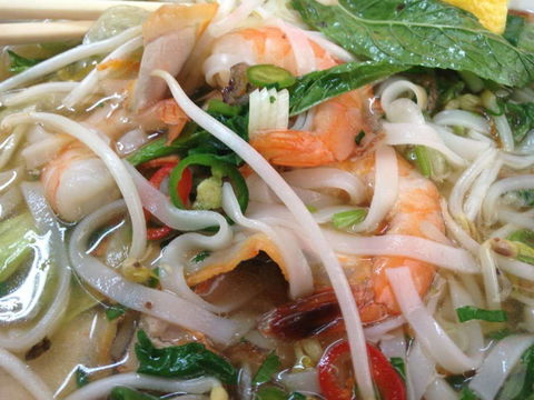 Vietnamese Hot Food - Restaurants Sydney 0