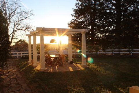 Vieux - Restaurant And Cafe - Restaurants Sydney 0