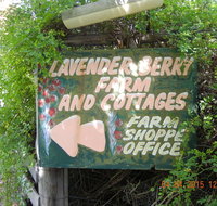 Lavender and Berry Farm Cafe - Restaurants Sydney