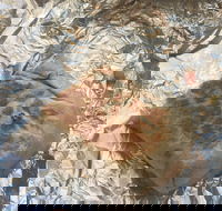 Mad Mex Fresh Mexican Grill - Restaurants Sydney